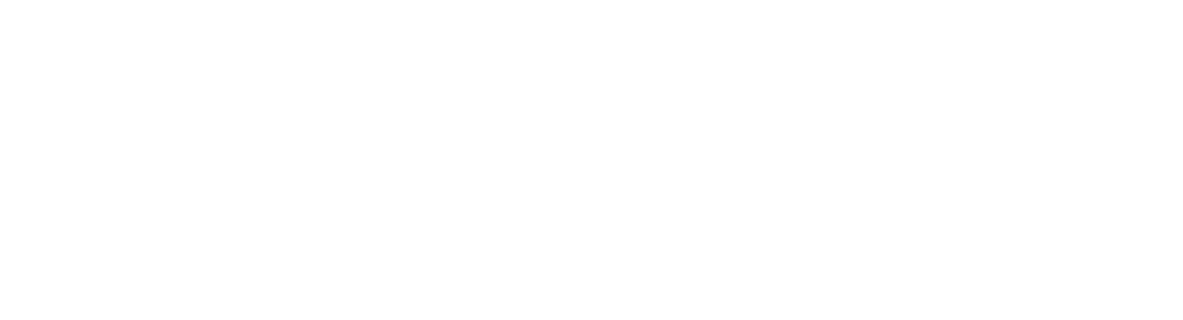 logo-paletrans-autoelevadores