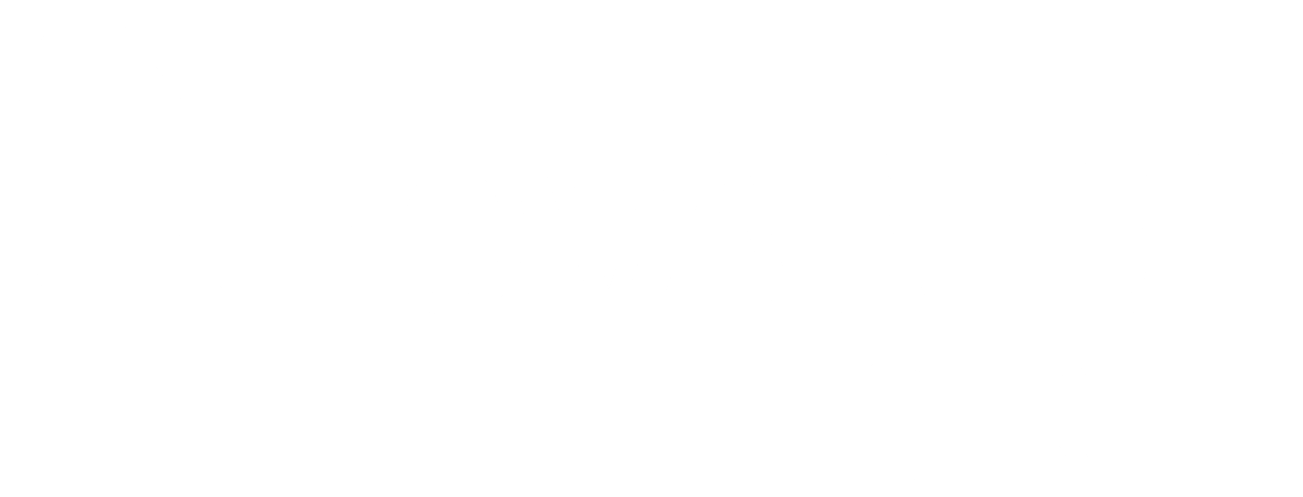 Novarese SRL