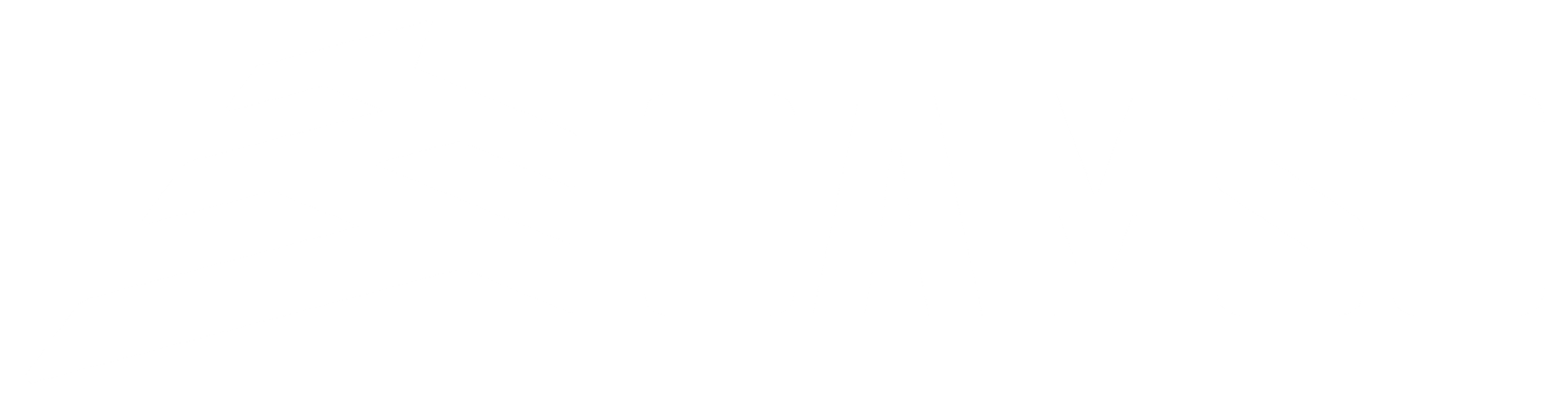 logo-camso-cubiertas